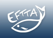 Логотип EFTTA